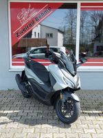 Honda FORZA 125 Sachsen - Callenberg b Hohenstein-Ernstthal Vorschau