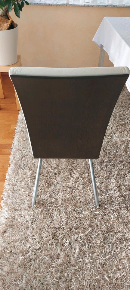 Vier Freischwinger Stühle von Rolf Benz Leder weiß in Neuffen