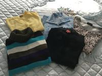 Verschiedene Pullover dünn Gr 36-38 Hessen - Bad Hersfeld Vorschau
