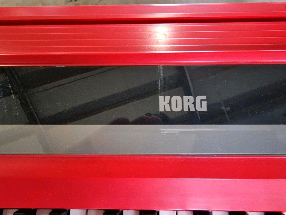 KORG SP-170  E Klavier . in Münzenberg