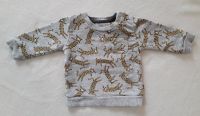 Feetje Sweatshirt Pullover Gr. 62 wie neu Tiger Leopard Jungen Hessen - Hattersheim am Main Vorschau