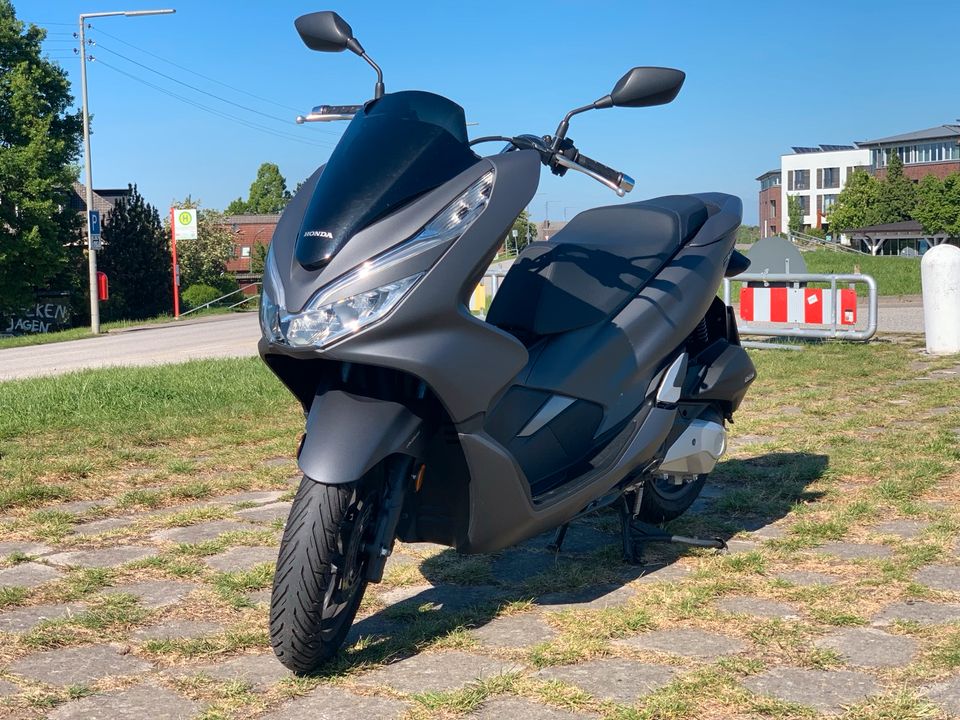 Honda PCX 125 ABS 2019 ca. 2700km Top Zustand in Geesthacht