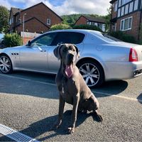 Maserati Quattroporte 4.2 V8 - Hessen - Schmitten Vorschau