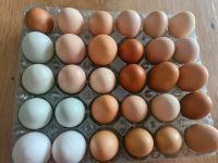 Hühner Eier Nordrhein-Westfalen - Waldfeucht Vorschau