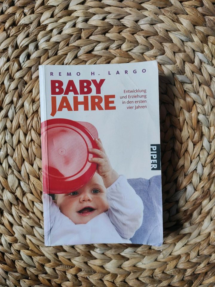 Buch Babyjahre Remo. H. Largo in Herzogenrath