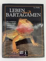 Leben mit Bartagamen Hessen - Nauheim Vorschau