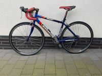 Rennrad Batavus 24 Zoll Nordrhein-Westfalen - Wettringen Vorschau