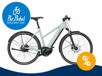 e-Bike Riese und Müller Roadster (Sie sparen 1030 € ggü. UVP 5528,60 €) Niedersachsen - Syke Vorschau
