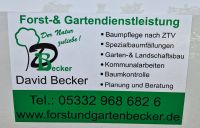 Gartenpflege/ Landschaftspflege/ Hecken-& Strauchschnitt Niedersachsen - Schöningen Vorschau