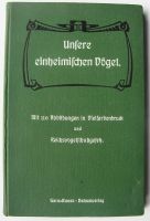 Unsere einheimischen Vögel, lithographierte Tafeln, Ornithologie Baden-Württemberg - Königsbach-Stein  Vorschau