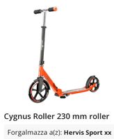 Cygnus Roller Scooter 230 Berlin - Niederschönhausen Vorschau