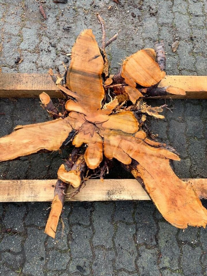 Apfelbaumscheibe Baumscheibe Tischplatte Holzbohle Tisch in Staßfurt