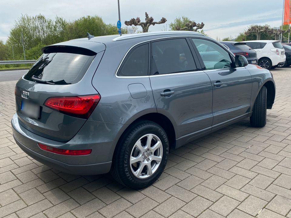 Audi Q5 2.0 TDI 110kW quattro - Top Zustand in Schmitten