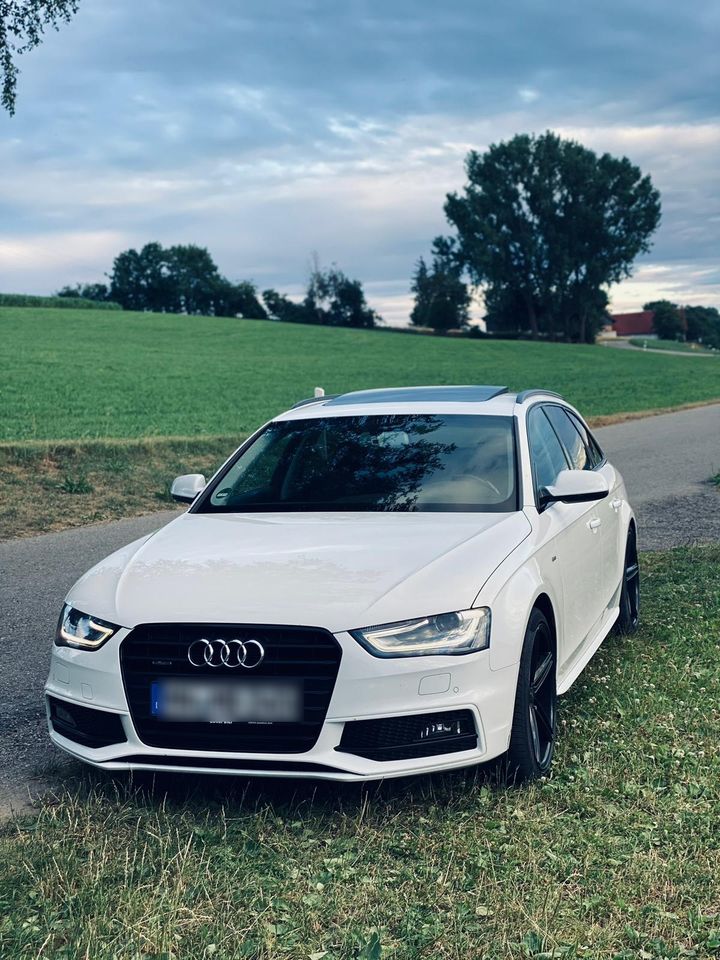 Audi A4 B8 Facelift 3.0 TDI, Checkheft, Panorama, Bang& Olufson in Gifhorn