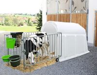 CalfHouse PE UV+ mit schwerer Umzäunung - Staffelpreise - inkl. L Baden-Württemberg - Gunningen Vorschau