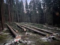 Holzeinschlag/Holzrückung/uvm Bayern - Plankenfels Vorschau