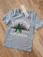 H&M  T-Shirt 134/140 Dinosaurier mit Wendepallietten Stegosaurus Nordrhein-Westfalen - Warstein Vorschau