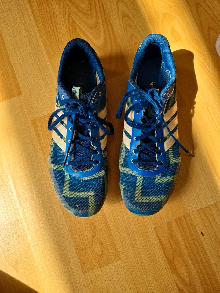 Adidas Spikes Gr 41 1/3 Distancestar Leichtathletik in Stade