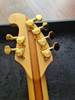 E gitarre 90er Vintage Power Strat made in Korea mit Zubehör Niedersachsen - Hessisch Oldendorf Vorschau