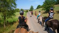 Reitunterricht/Reitkurse für Kids mit Islandpferden Hessen - Münchhausen Vorschau