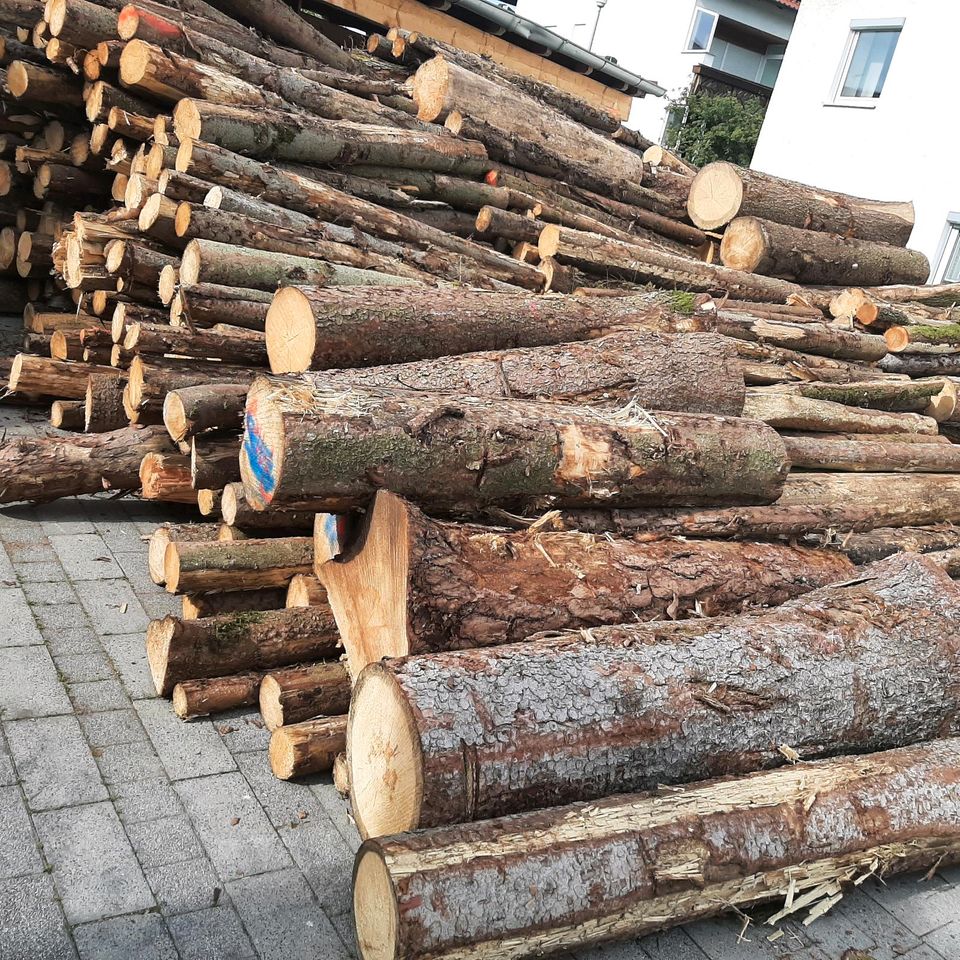 Brennholz Fichte Kiefer 2m lang in Maxhütte-Haidhof