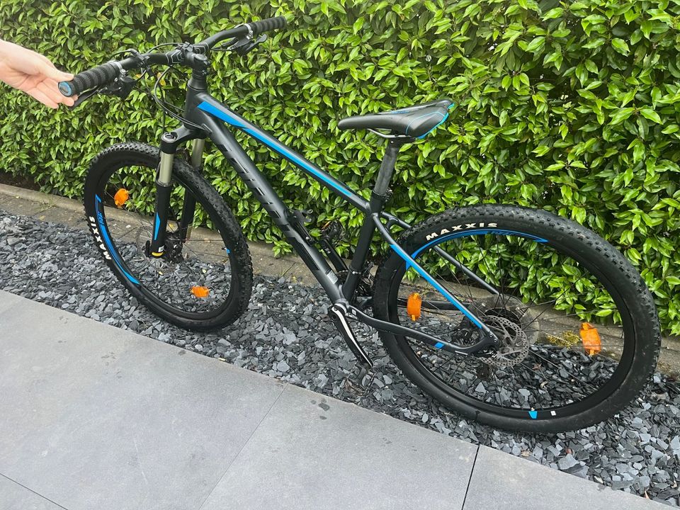 Hardtail, Giant Talon, Gunmetalblack Vibrantblue in Konz