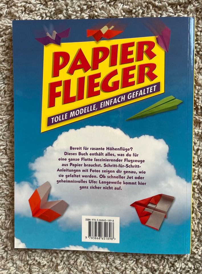 Buch Papierflieger mit Papierbögen Basteln in Pesterwitz