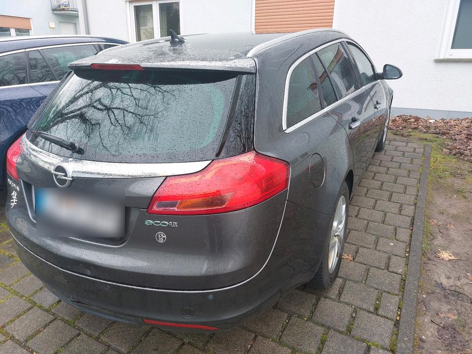 Opel Insignia in Detmold