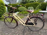Original Holland Fahrrad mit 7 Gängen und Rücktrittbremse Bayern - Rehling Vorschau
