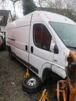 Fiat Ducato teile Nordrhein-Westfalen - Solingen Vorschau