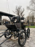 Kutsche ,Marathonwagen , Einspänner , Zweispänner Thüringen - Riethgen Vorschau