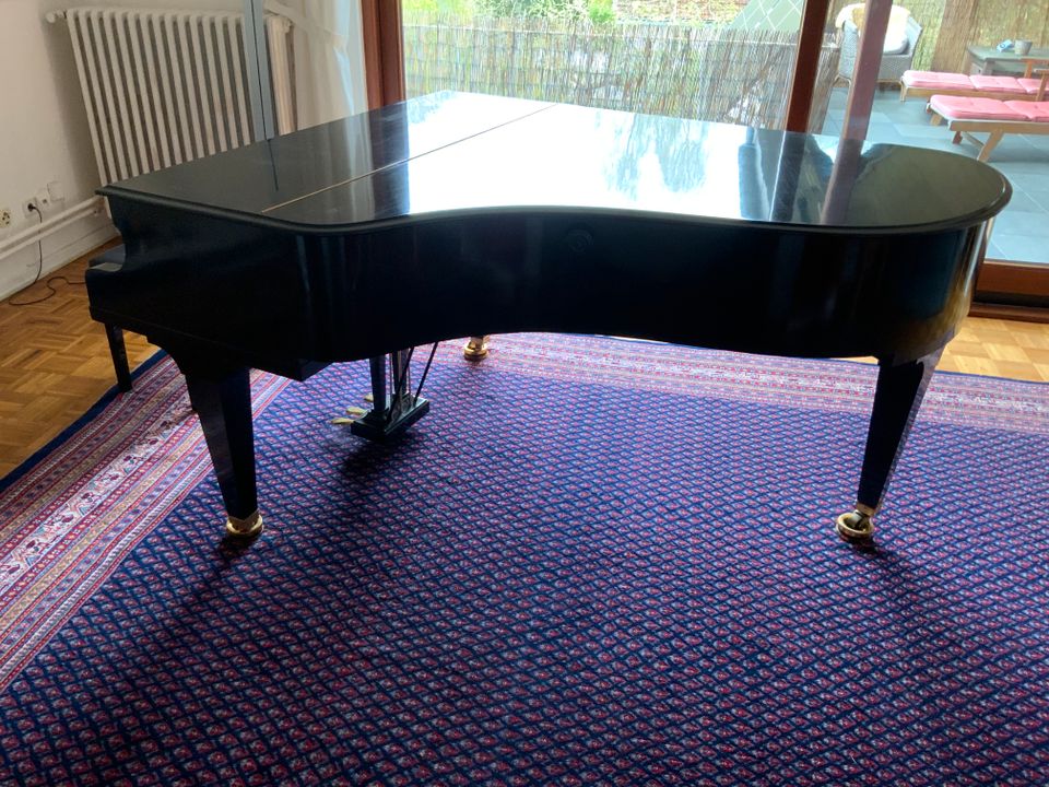 Bechstein-Flügel B203 in Preetz