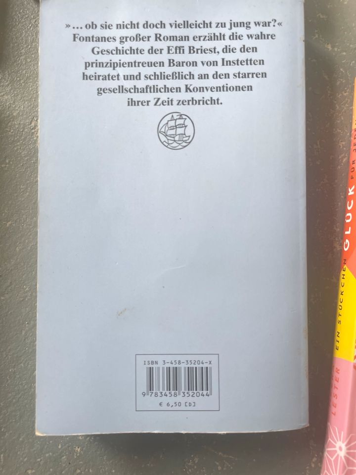 Fontane Piper Bücher Romane Bestseller Buch Taschenbücher in Kassel