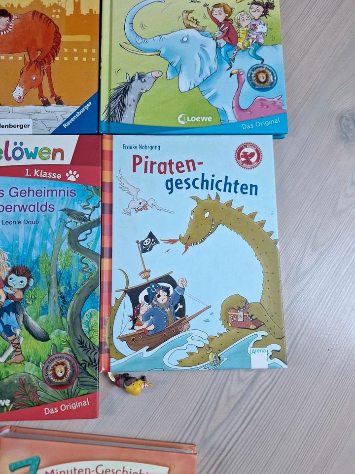 Bücher zum lesen lernen in Bergisch Gladbach