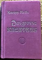 Das große Kneippbuch von 1923, antiquarisches Sachbuch, gebunden Hessen - Willingen (Upland) Vorschau