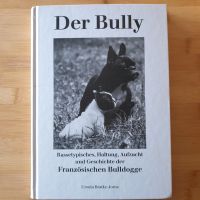 Französische Bulldogge Der Bully Hessen - Geisenheim Vorschau