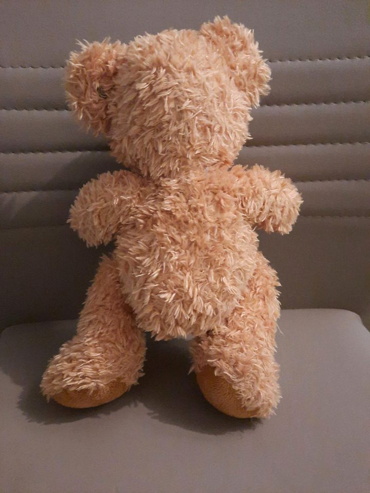 Steiff Teddybär in Stahnsdorf