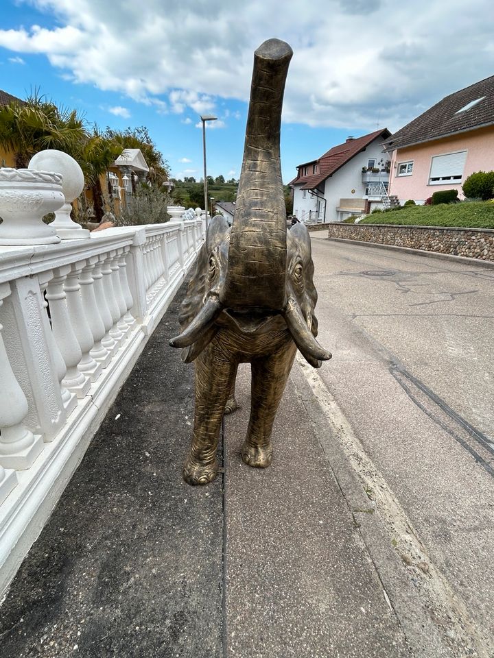 Elefant, Tiere, Deko, Kunst in Herbolzheim