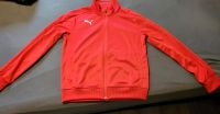 Trainingsjacke von Puma - Neu Niedersachsen - Harsefeld Vorschau