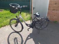 Raleigh Damen E-Bike 28er Niedersachsen - Brake (Unterweser) Vorschau