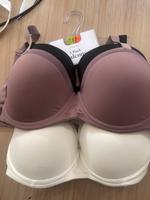 3 BHs größe 95E neu mit etikett Brandenburg - Rathenow Vorschau