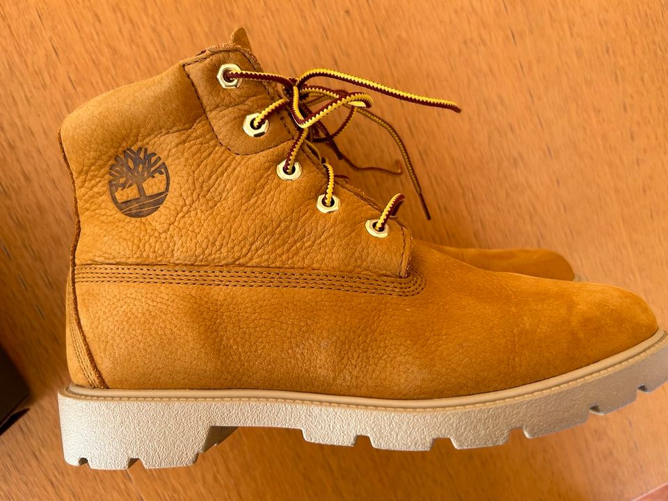 TIMBERLAND® Classic 6-Inch-Stiefel für Kinder in gelb, Gr.38 in Oberursel (Taunus)