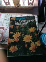 DDR Buch Sommerblumen Sachsen - Eibenstock Vorschau