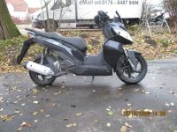 Großrad-Roller KSR Generic Zion 125 - für Ersatzteile spare-parts Nordrhein-Westfalen - Werther (Westfalen) Vorschau