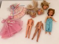 Lady Lockenlicht Konvolut Prinz Barbie Vintage 80er Niedersachsen - Duderstadt Vorschau
