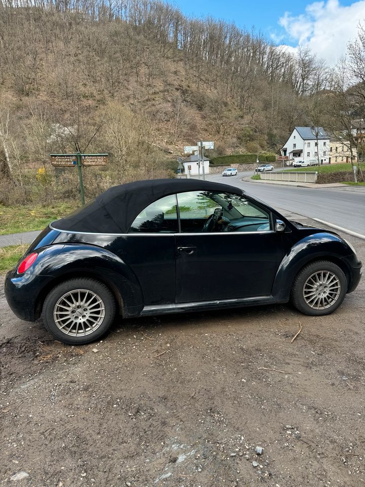 Vw Beetle cabrio 1.6 in Neuerburg Eifel