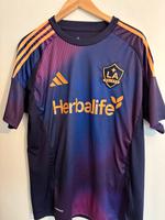 LA Galaxy Trikot Rheinland-Pfalz - Trier Vorschau