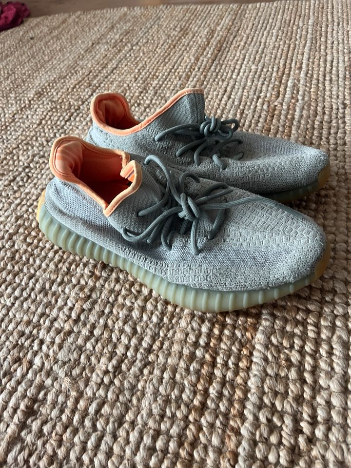 Yeezy Boost Desert Sage 43 in Schriesheim