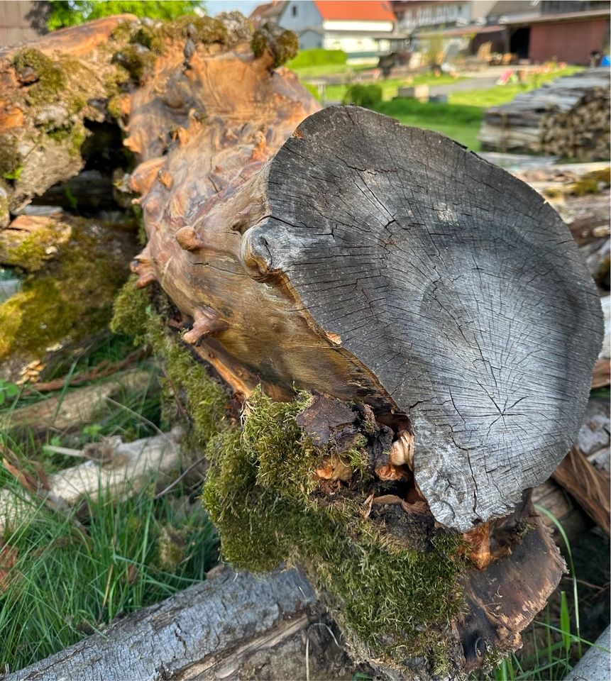 Apfelbaumstamm Holzkunst Obstbaum Holzstamm in Hessisch Lichtenau