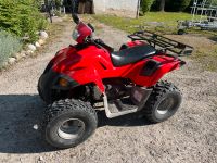 Dinli Sachs Quad / 100ccm / 2Takt / Automatik / kompakt Bayern - Prien Vorschau